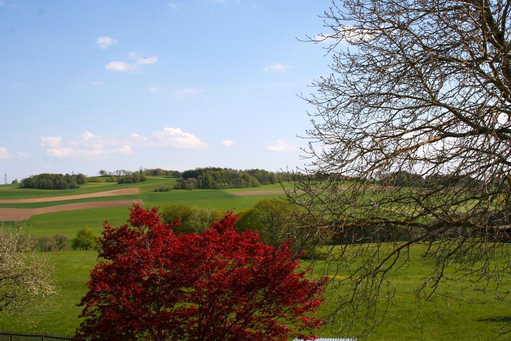Ferienwohnung Endlich Ferien Waldshut-Tiengen Luaran gambar