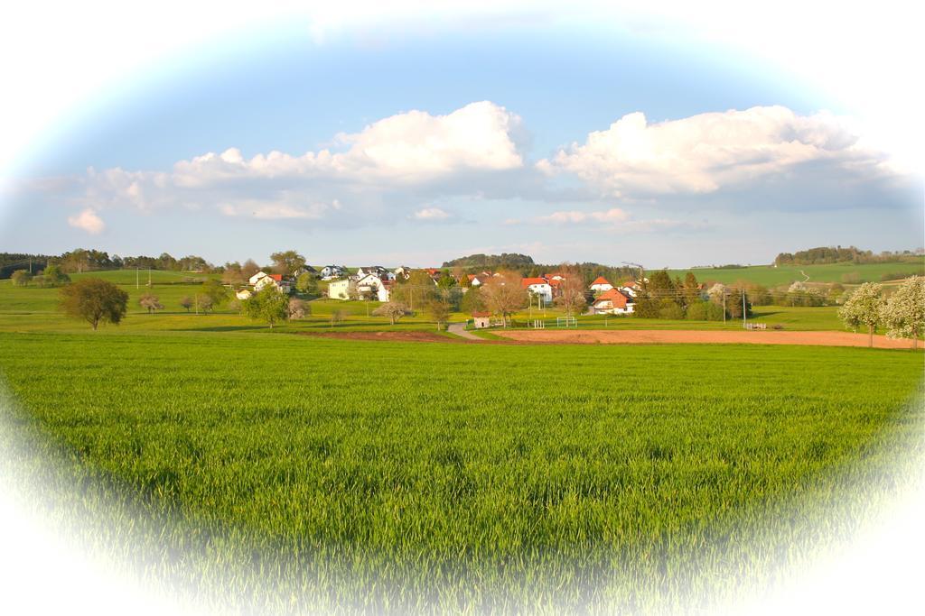 Ferienwohnung Endlich Ferien Waldshut-Tiengen Luaran gambar